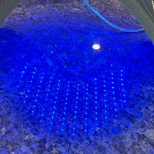 Celluma Pro (LED light therapy)